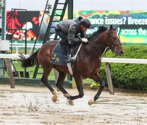 belmont stakes trifecta|2022 Belmont Stakes: Trifecta Bet Guide & Picks .